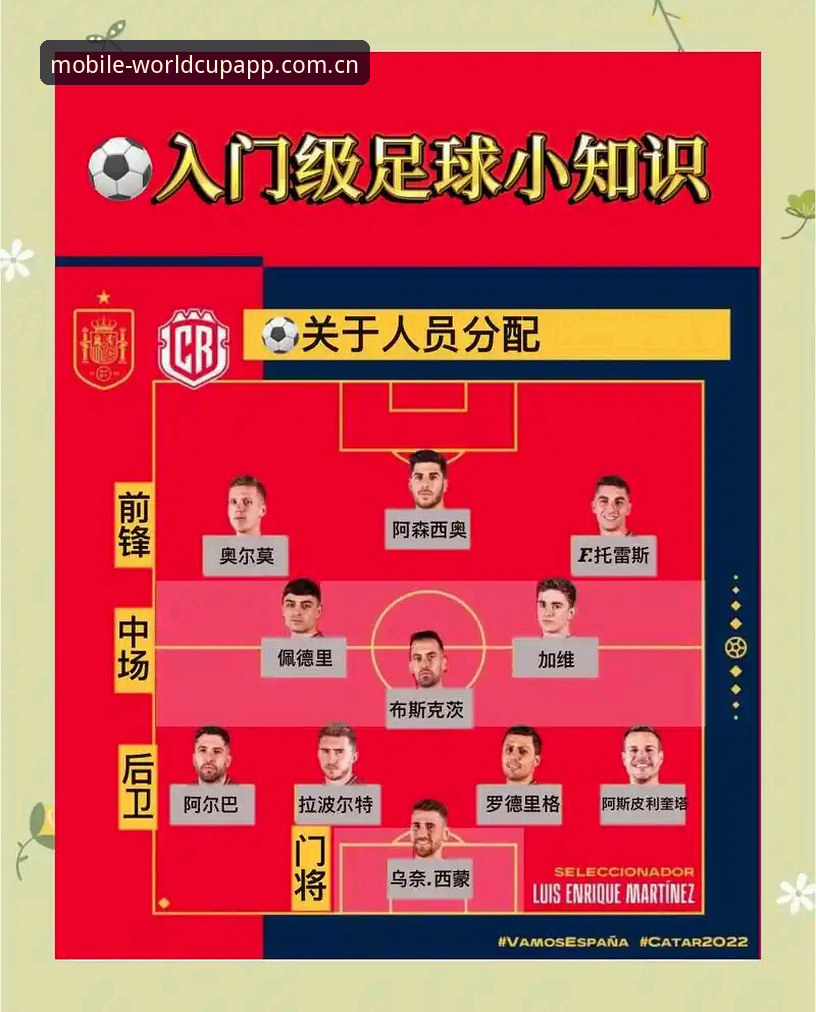 世界杯App功能模块全面解析:从安装到实时跟进的实战指南